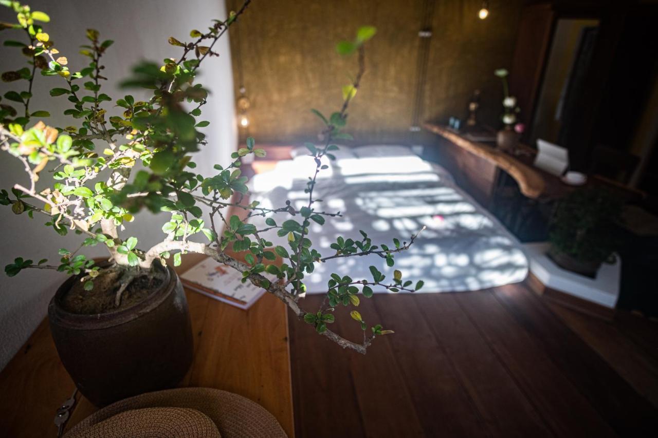 勒兰达家庭旅馆 顺化 外观 照片