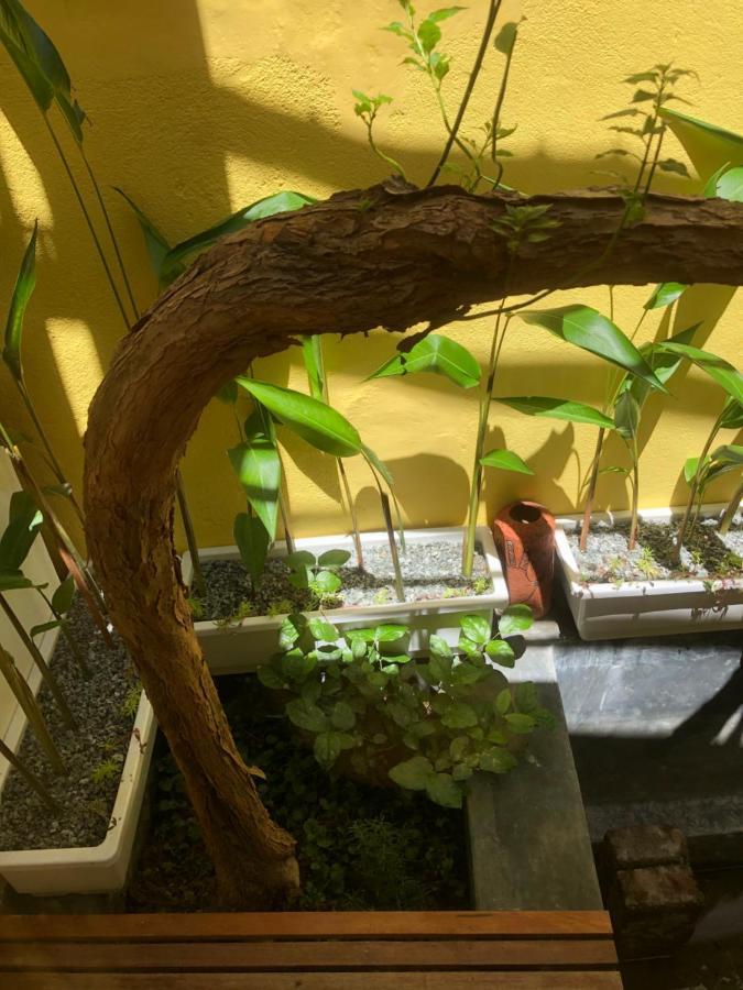 勒兰达家庭旅馆 顺化 外观 照片